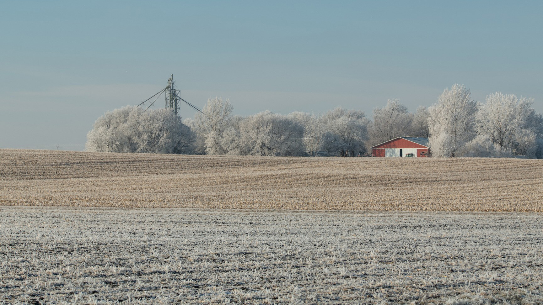 Photo of a farm field in winter with farm buildings in the background.