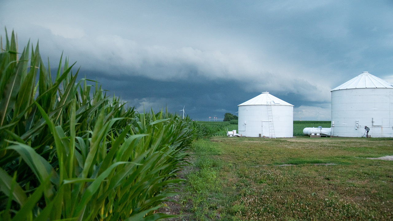 Storm clouds gather over corn field next to grain bins.