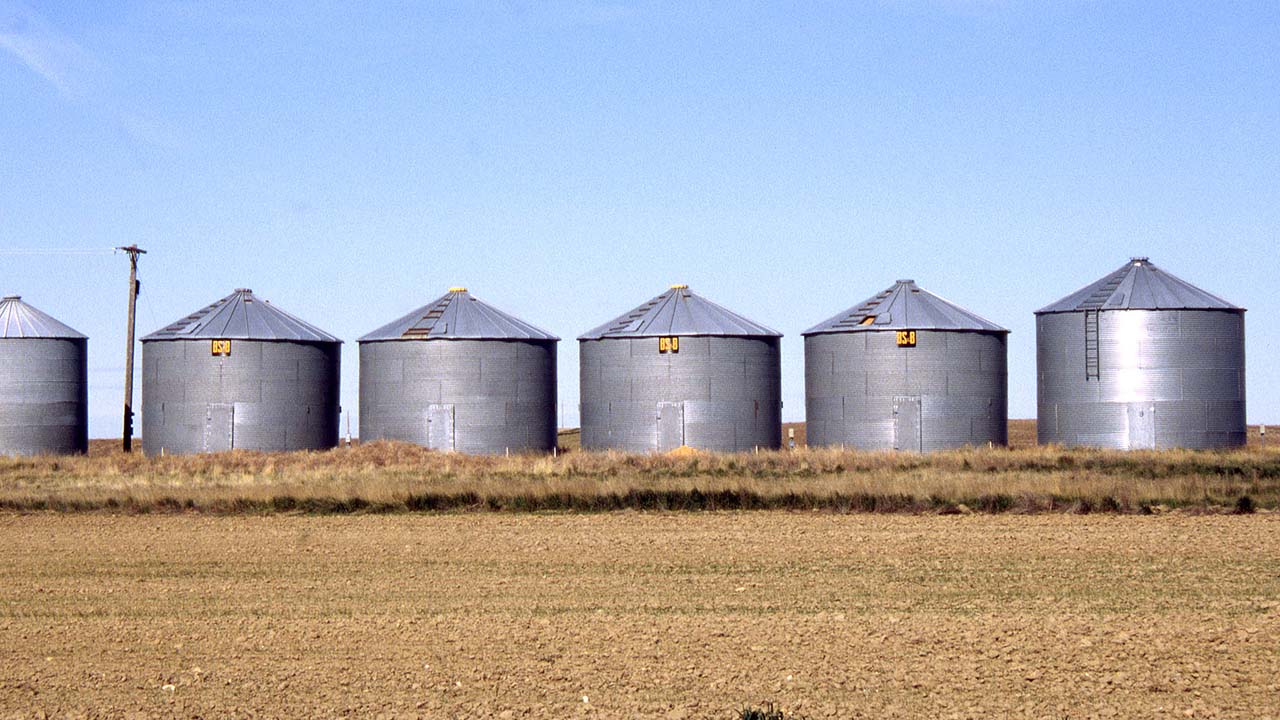 Grain bins in field. 
