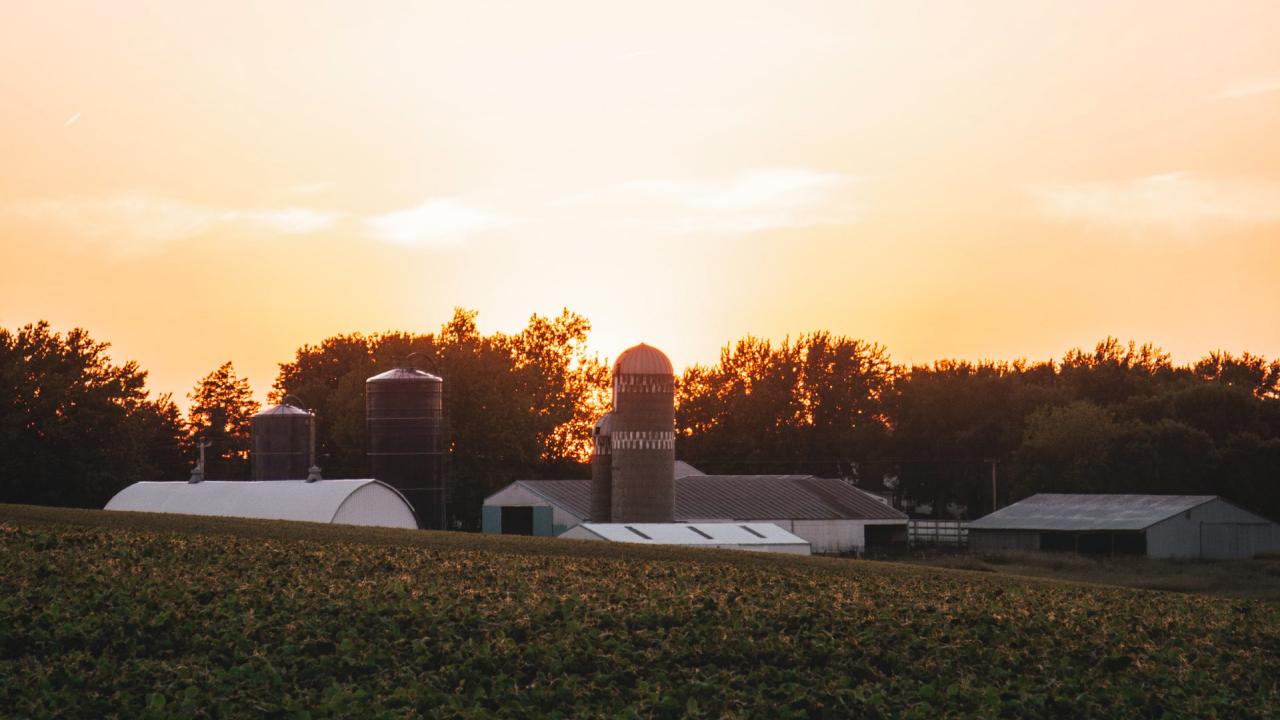 Farm buildings shown at sunset.