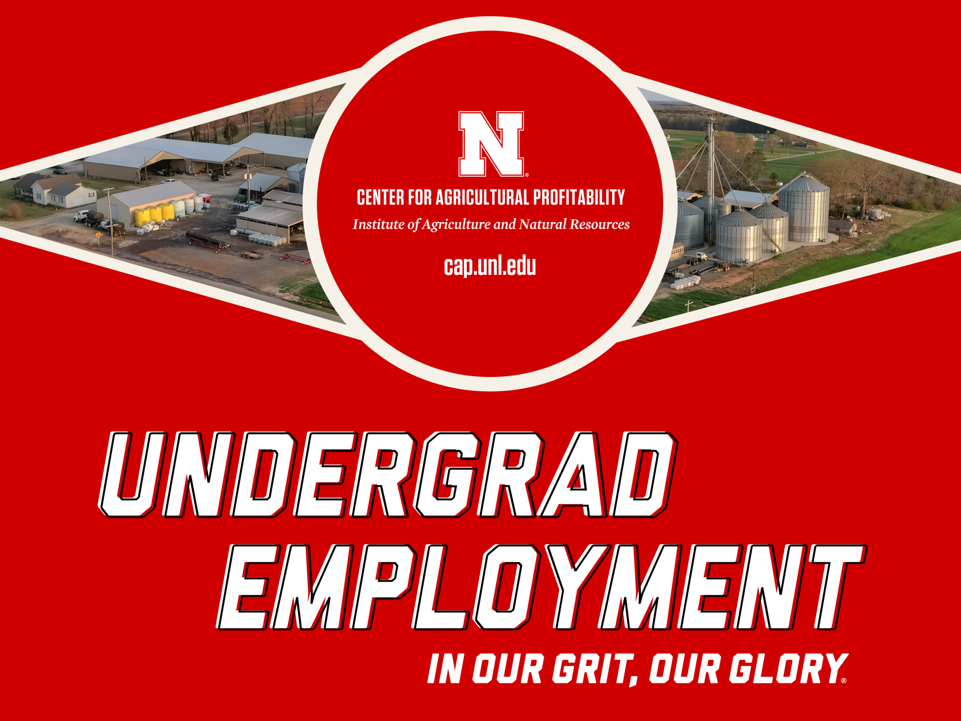undergrad employment banner