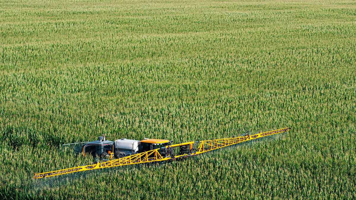 Sprayer in summer corn field.