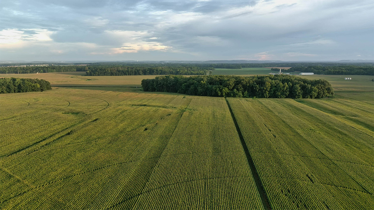 Aerial view of farmland.