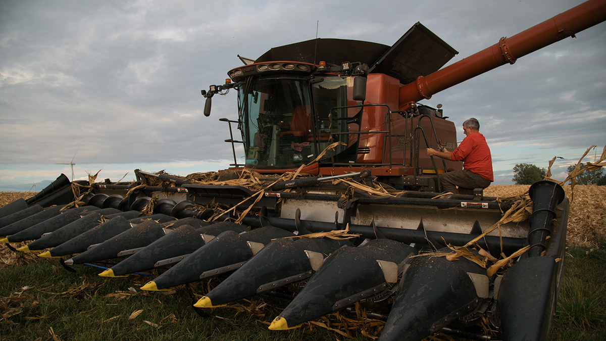 Combine in field with farmer working on corn header. 