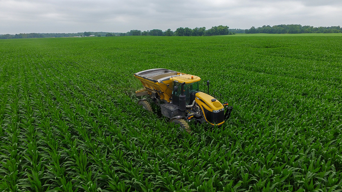 Dry fertilizer spreading in high corn.