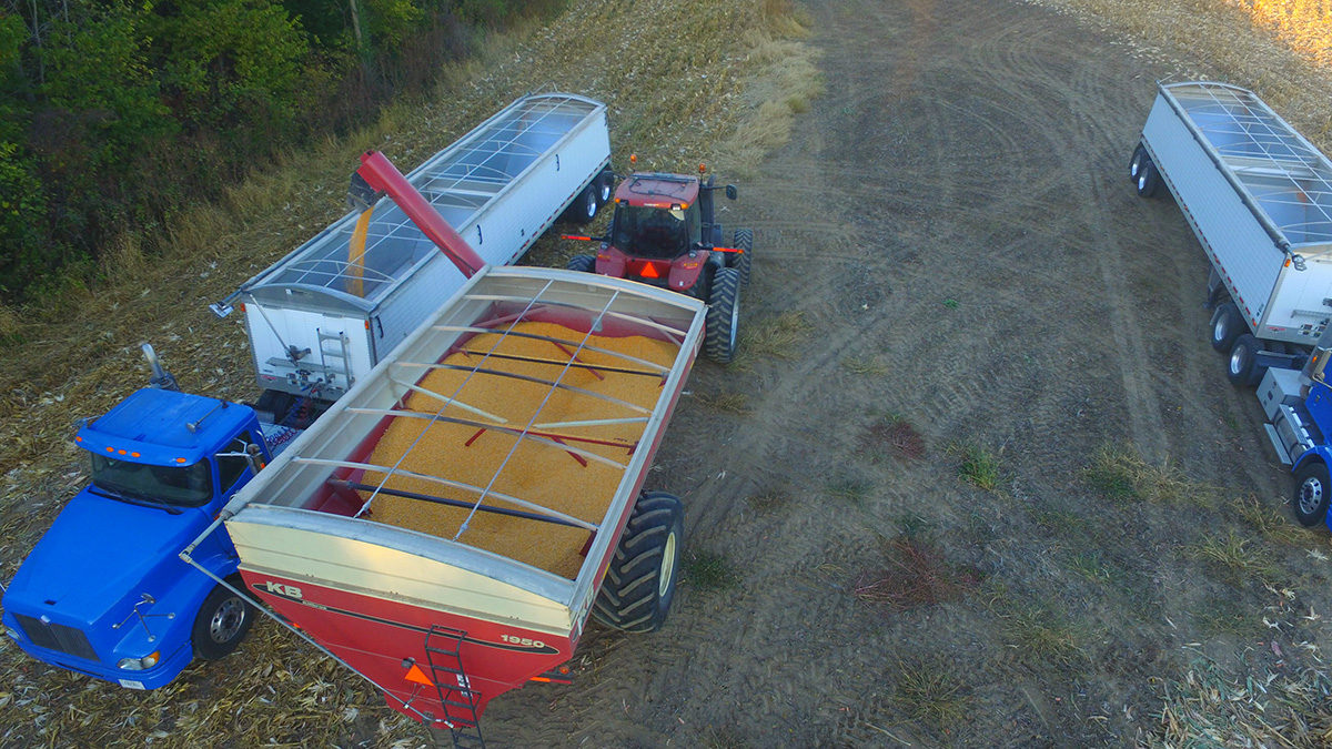 aerial shot of grain cart loading truck.