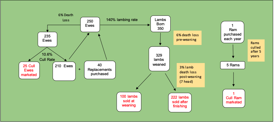 enterprise budget figure 1