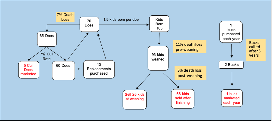 enterprise budget figure 2