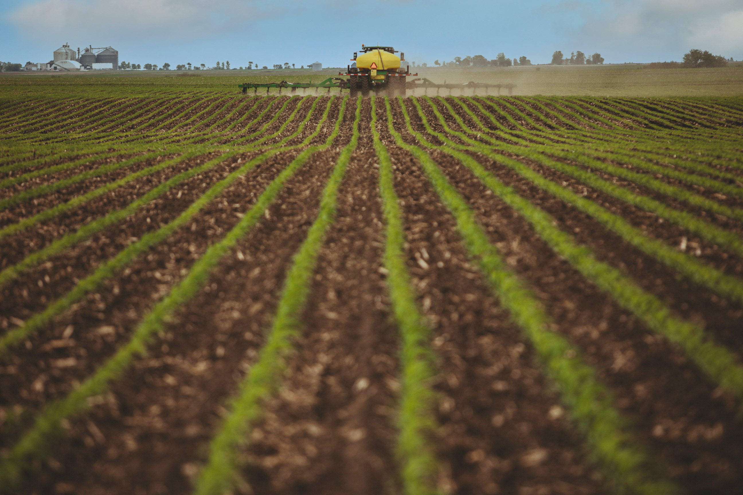 A tractor spraying crops in evenly spaced rows on a farm field under a blue sky.