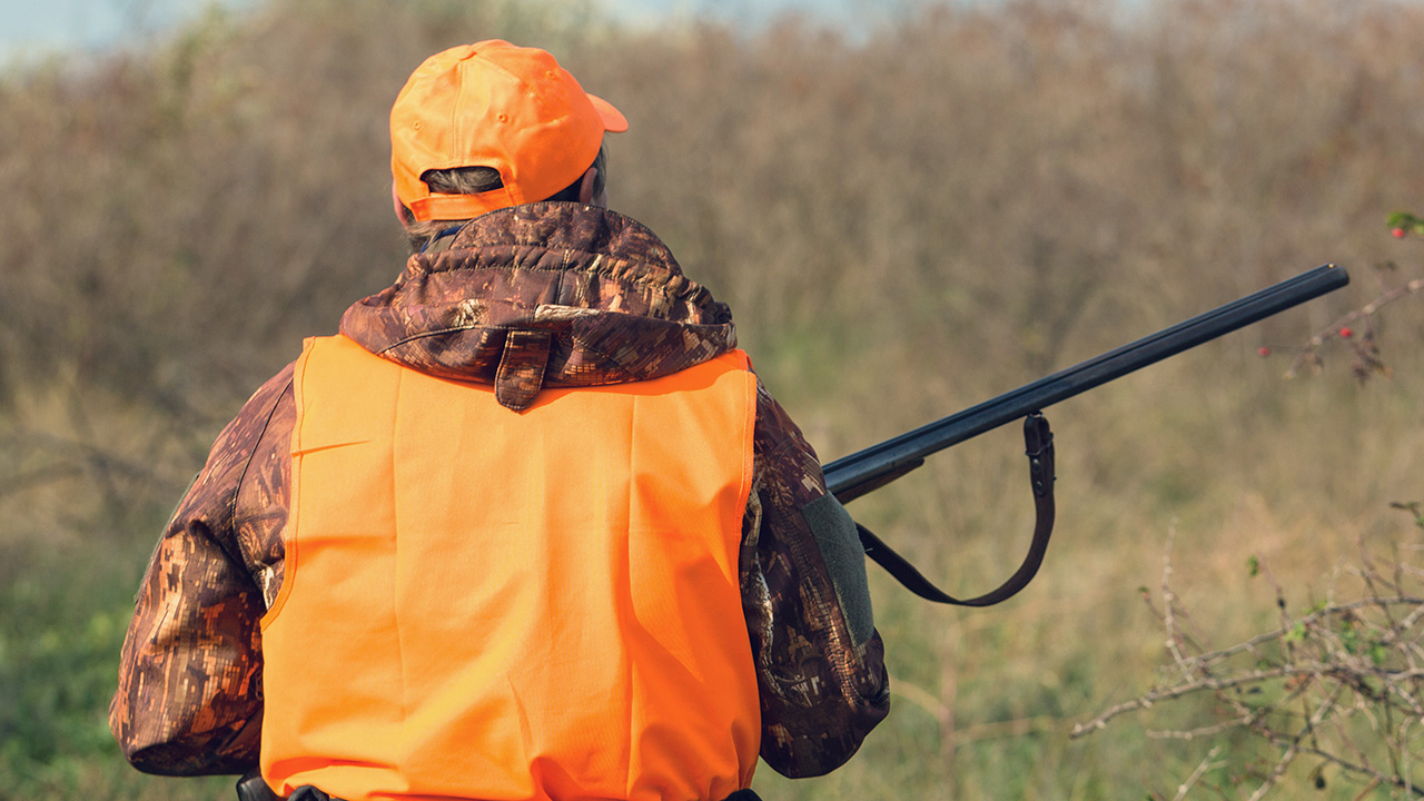Photo of the back of a hunter with a firearm in an orange safety vest.