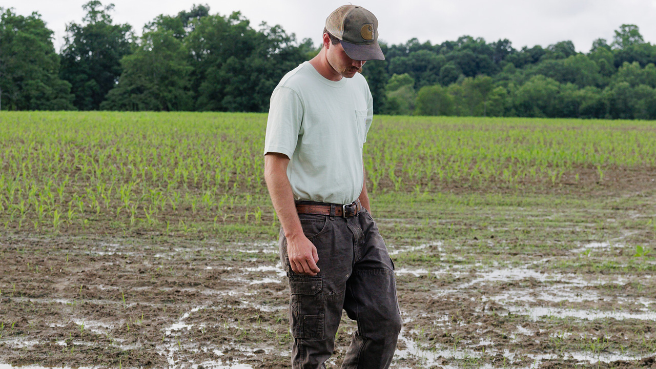 A farmer scouts a wet corn field.