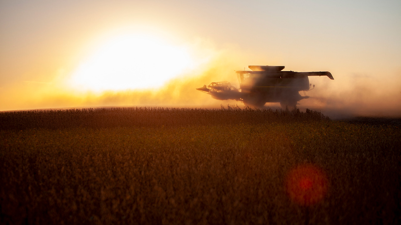 Combine harvester at sunset creating a cloud of dust in a golden field.