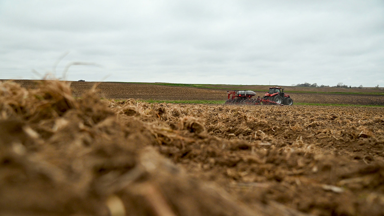 A tractor plants into tilled cover crops.