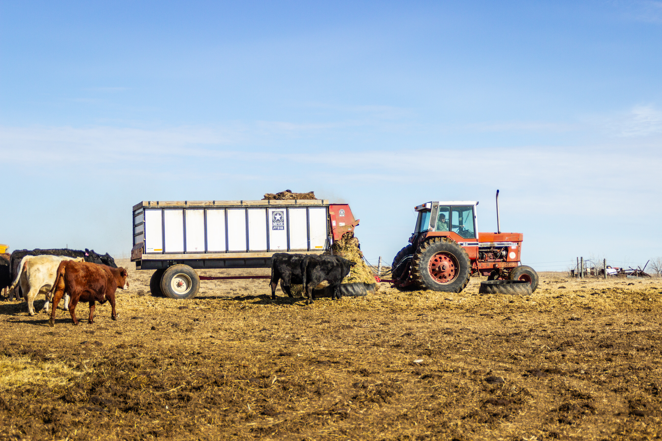 Photo of a tractor and wagon used to feed cattle.