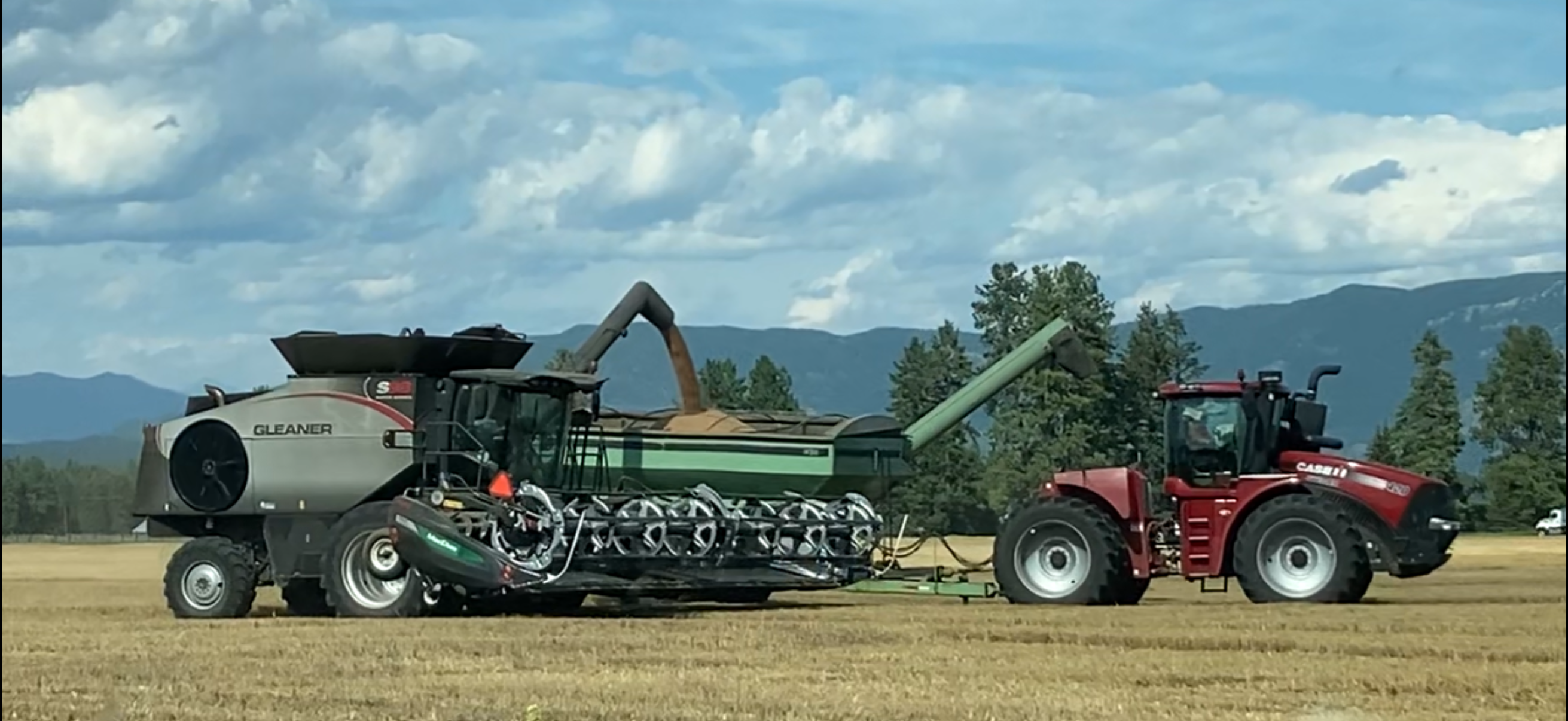 Photo of a combine and harvest machinery in a wheat field.