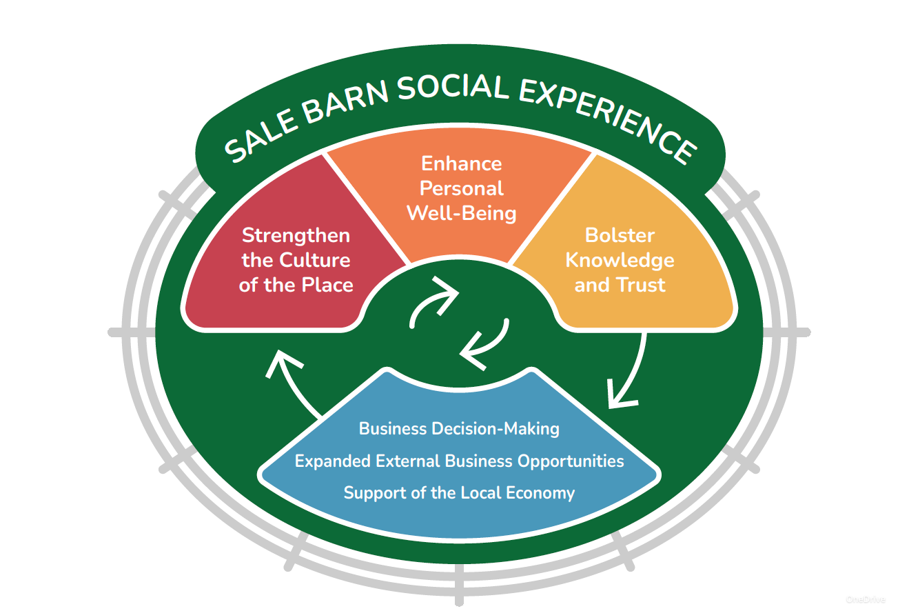 Sale barn experience graphic showing the interaction of the key components of the sale barn experience.