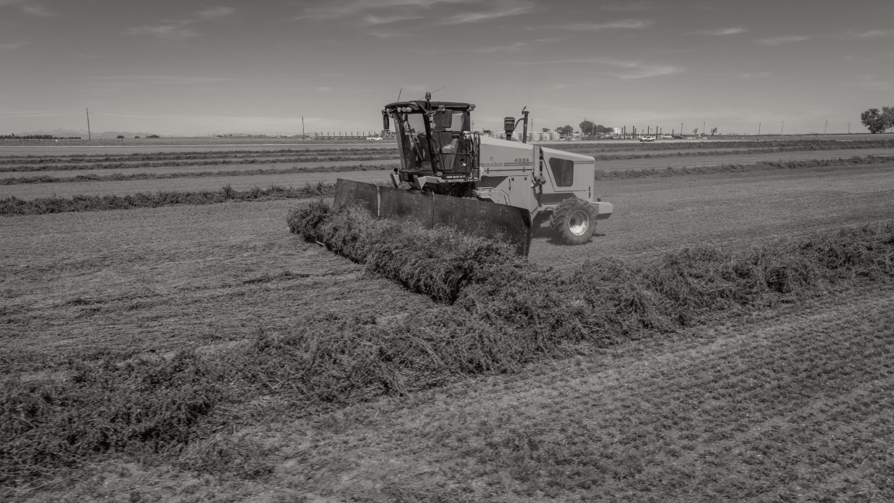 Photo of a hay being rolled in a field.