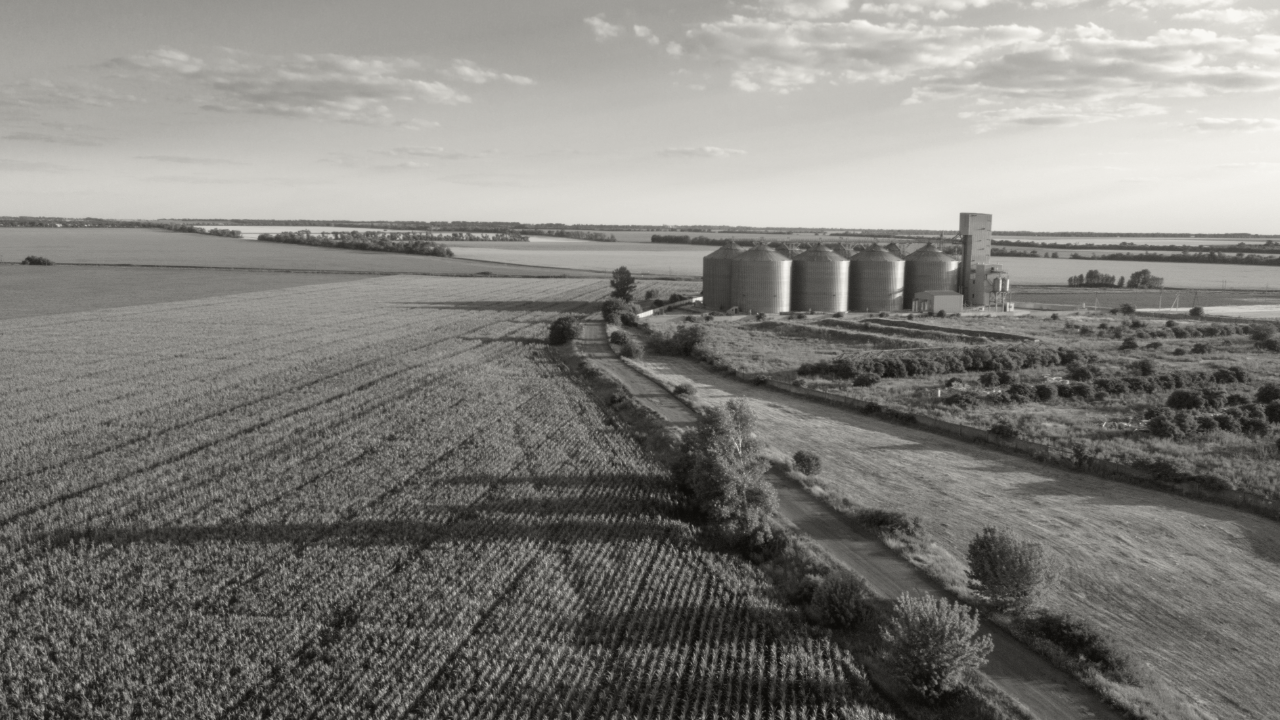 Aerial view of farmland.