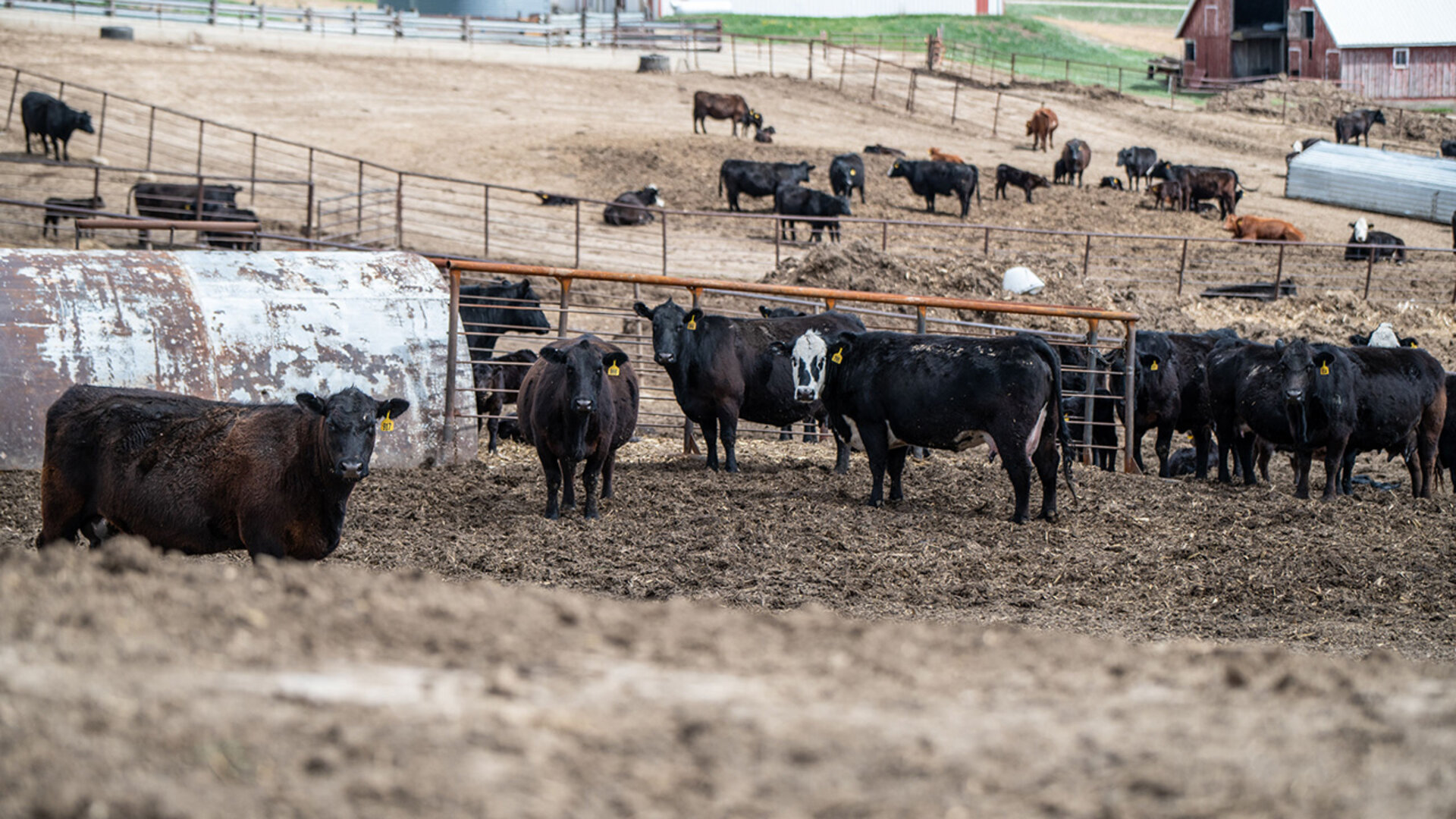 Custom Rates for 2025 Field Operations | Center for Agricultural ...