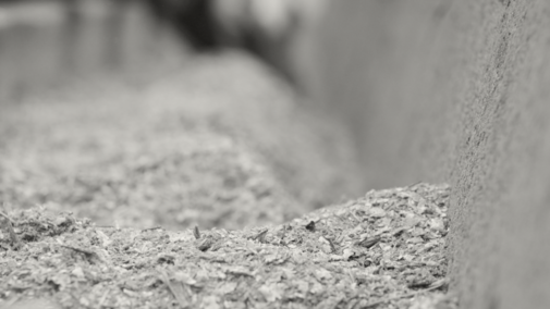 Photo of cattle feed in a bunk.