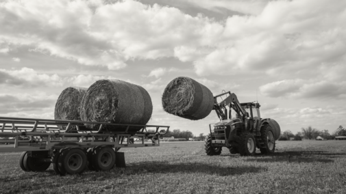 Tractor loading hay bales onto a trailer in a grassy field under a cloudy sky.