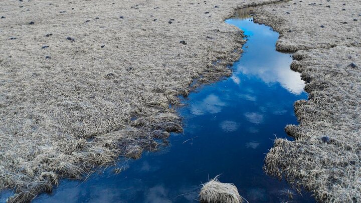 Stream running through ag land.