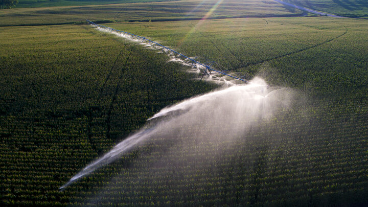 Photo of a center pivot irrigating a field.