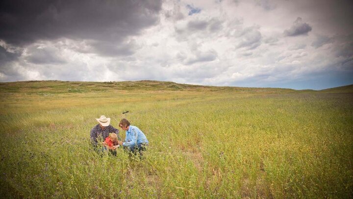ranchers in pasture