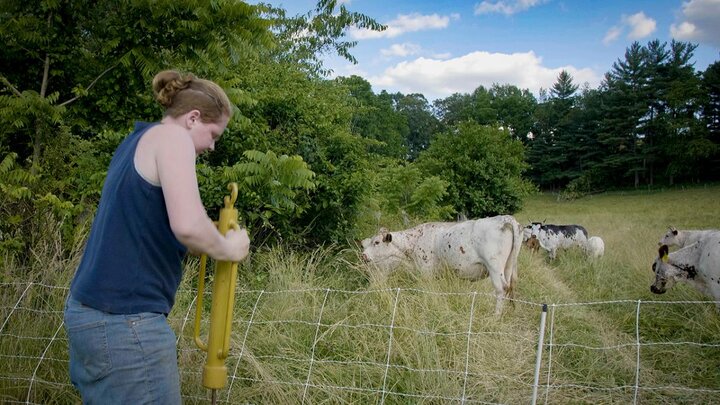 Woman repairing fence.