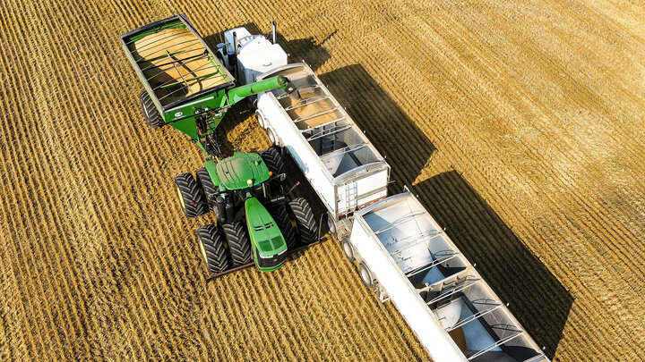 Photo of a grain cart loading trailers during harvest in a field.
