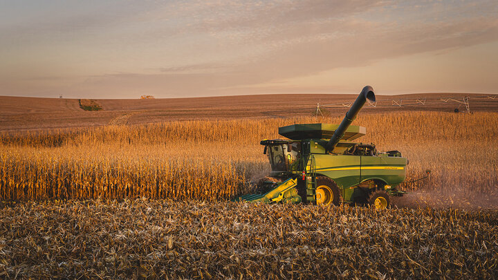 Photo of combine harvesting corn.