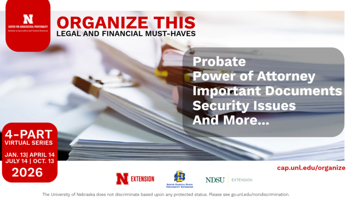 Organize this workshop graphic.