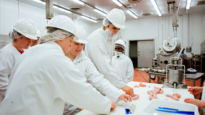 Photo of UNL students making sausage in the meat lab on East Campus.