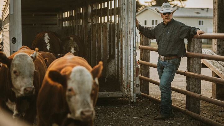 Photo of a man unloading cattle trailer. 