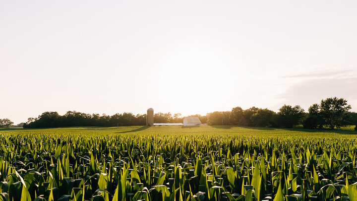 Photo of a farm at sunset.