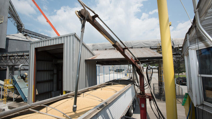 Grain truck offloading at elevator.