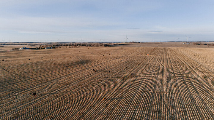 Aerial view of Nebraska cropland with cattle grazing on cornstalks.