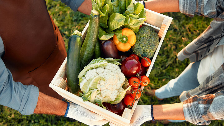 Wooden crate filled with fresh vegetables being held by two people outdoors.