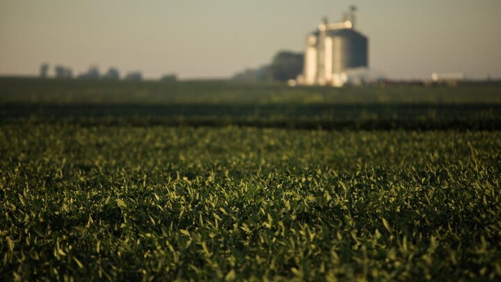 Photo of field with grain storage structures in background.