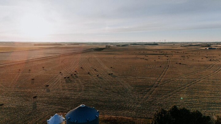 Aerial view of farmland.