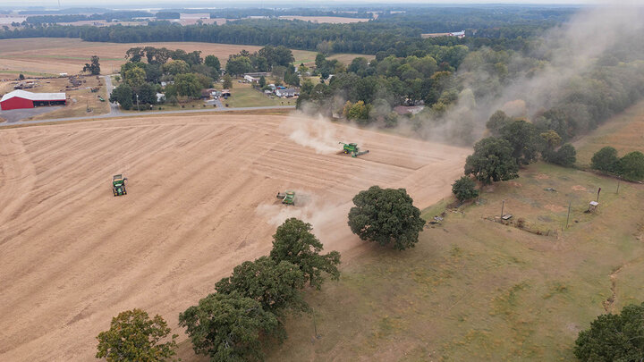 Photo of an aerial view of soybean harvest.