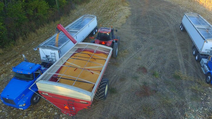 Grain cart loading semi trailer.