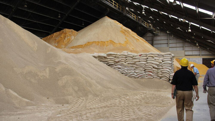 Warehouse with large piles of grain, stacked sacks, and workers in yellow helmets.