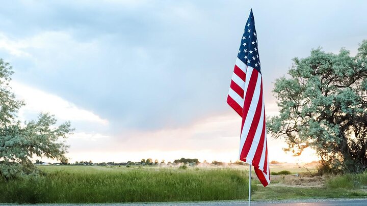 Photo of American flag amid corn field.