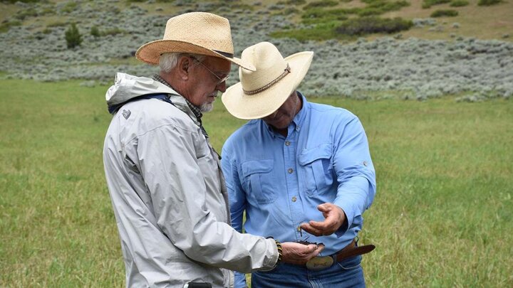 Two men talking in pasture.