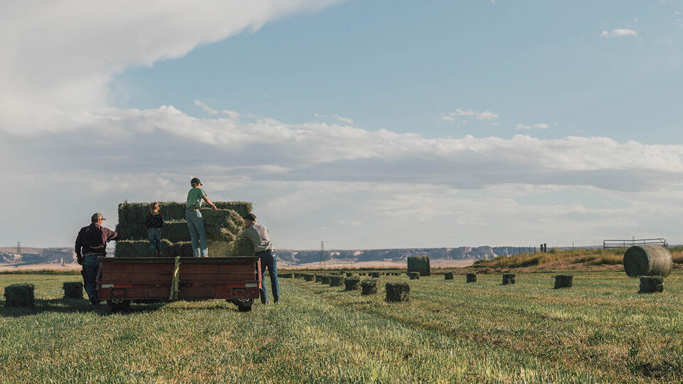 USDA Reports on County-Level Cash Rent Estimates in Nebraska for 2025 ...