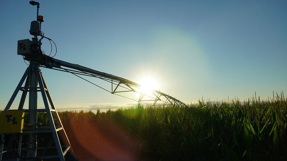 Photo of a center pivot in a corn field at sunrise.
