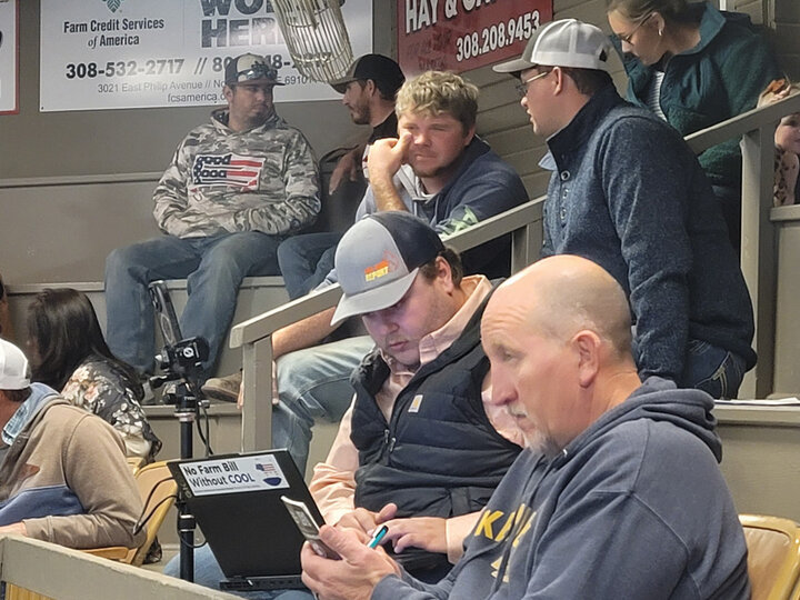 Photo of people in seats at a sale barn.