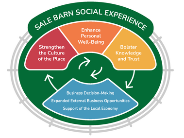 Social experience graphic highlighting research focus areas. 