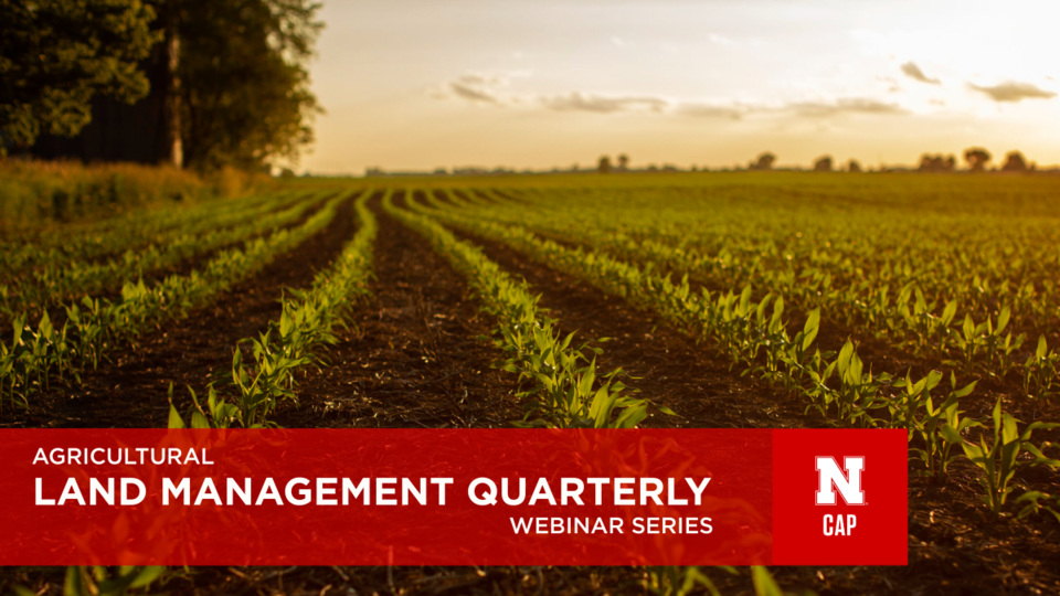 Webinar graphic